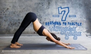7 Reasons to Practice Vinyasa Yoga