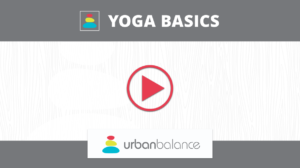 Yoga Basics