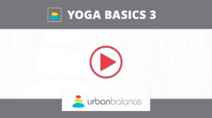 Yoga Basics 3